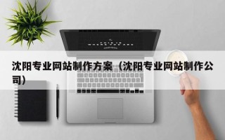 阿里沈阳专业网站制作方案（沈阳专业网站制作公司）